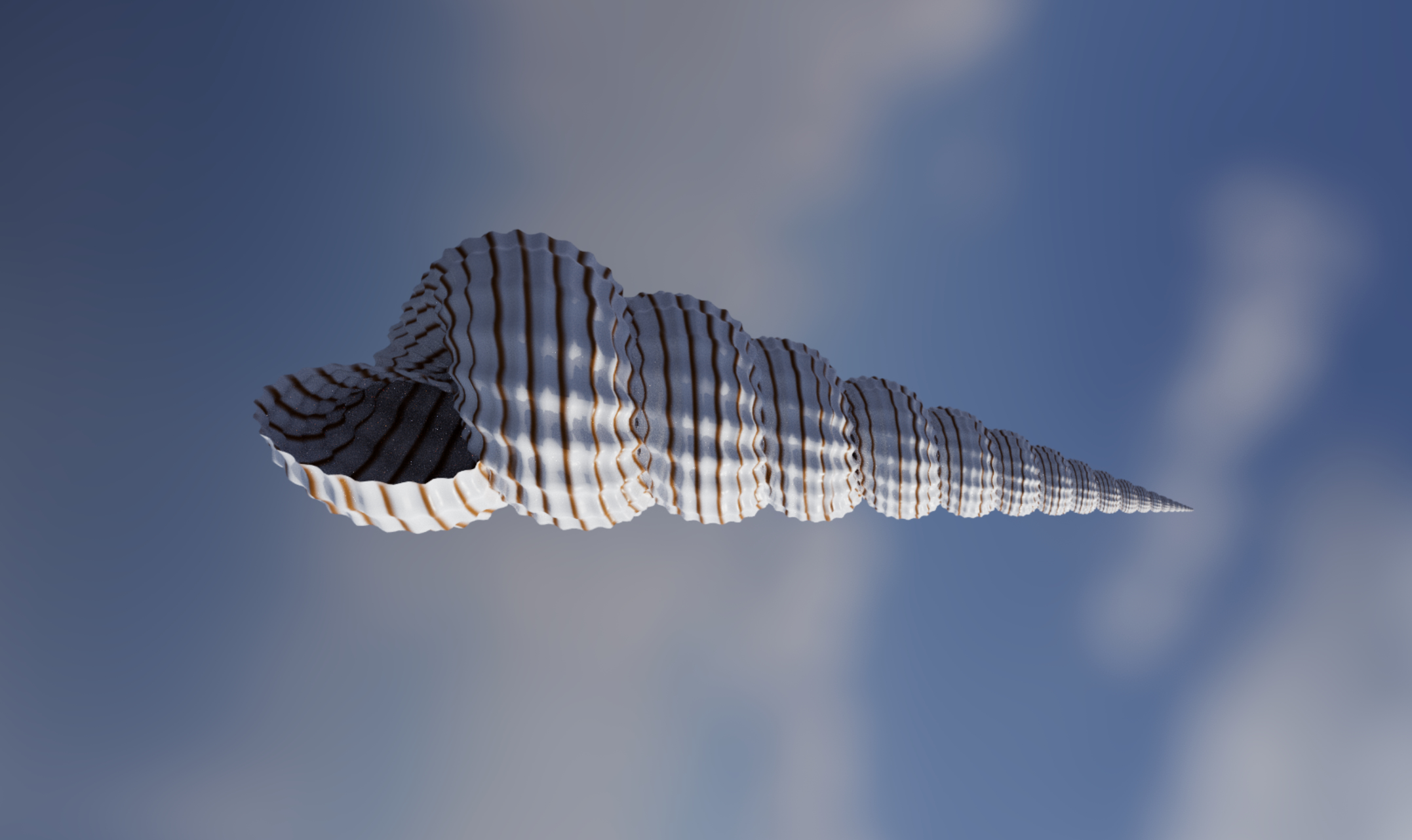 Growing a Seashell in Code